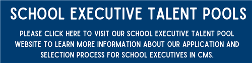 School Executive Talent Pool Website